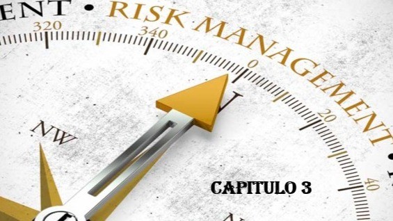Curso Básico de Gerenciamento de Riscos - Cápítulo 3